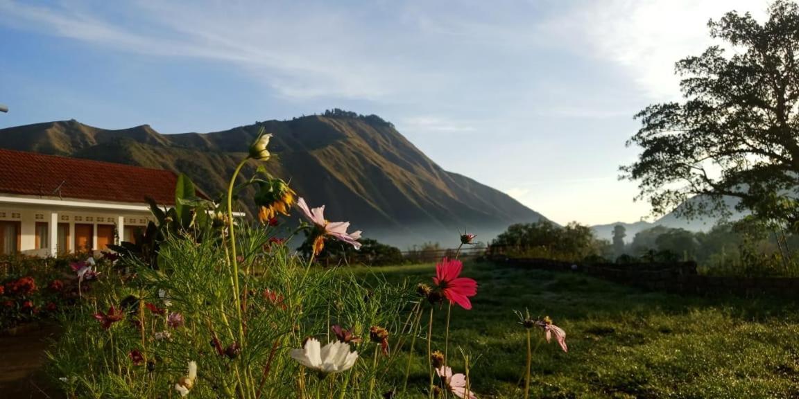 Rinjani Hill Hotel Sembalunlawang Exterior foto