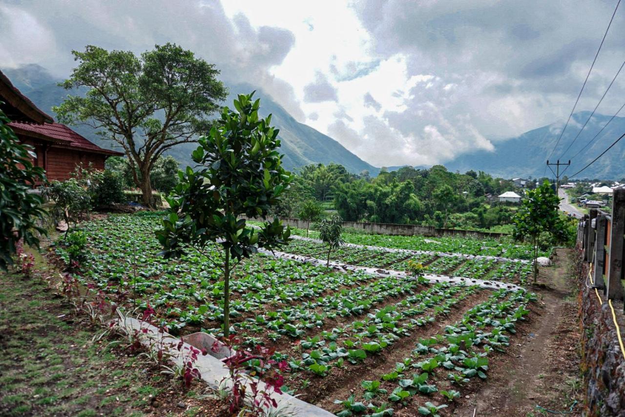Rinjani Hill Hotel Sembalunlawang Exterior foto